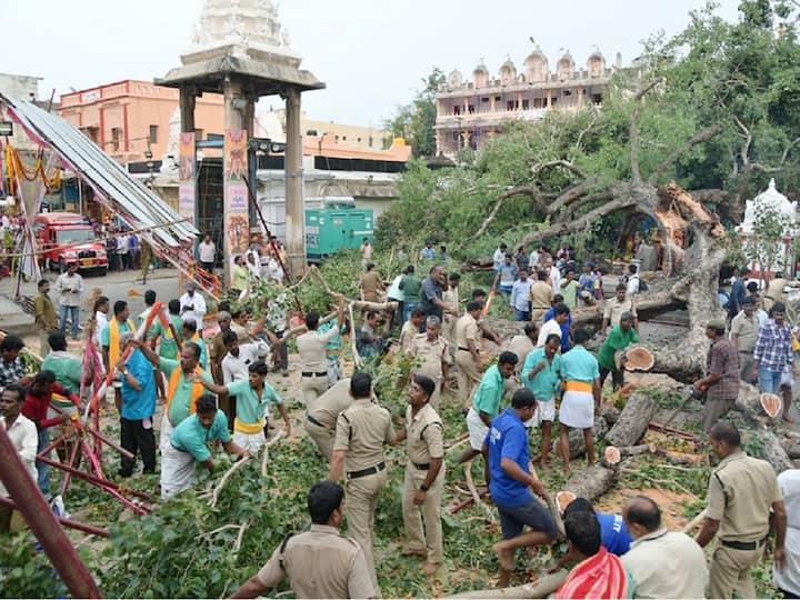 Tirupati Ravi tree collapses in Govindarajaswamy temple, one dead Tirupati: గోవిందరాజస్వామి గుడిలో అపశ్రుతి, కూలిన చెట్టు, ఒకరి మృతి! ఎక్స్‌గ్రేషియా ప్రకటన