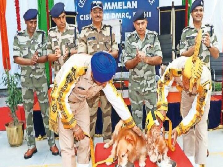 Three CISF Sniffer Dogs Retire: 8 yrs on, Sony, Rocky & Romeo call it a day CISF Dogs : சோனி, ராக்கி, ரோமியோ.. பணி ஓய்வு பெற்ற மோப்ப நாய்கள்: ஒய்யாரமாக நடந்த பிரிவு உபச்சார விழா