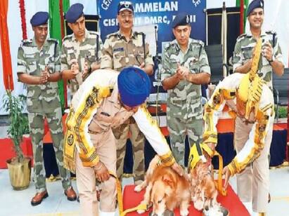 Three CISF Sniffer Dogs Retire: 8 yrs on, Sony, Rocky & Romeo call it a day CISF Dogs : சோனி, ராக்கி, ரோமியோ.. பணி ஓய்வு பெற்ற மோப்ப நாய்கள்: ஒய்யாரமாக நடந்த பிரிவு உபச்சார விழா