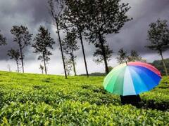 Monsoon : ચોમાસું આવી ગયું કે હજી જોવી પડશે રાહ? હવામાન વિભાગે કરી આગાહી