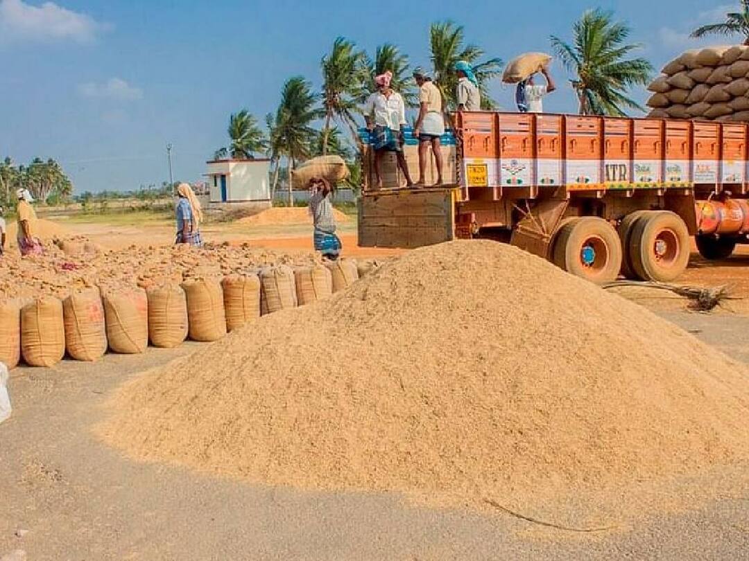 பயோமெட்ரிக் முறையில் நெல்கொள்முதல் செய்யப்படும்.. இன்று முதல் அமல்: தமிழ்நாடு அரசு அறிவிப்பு..! Paddy crops will be procured through biometric system hereafter Tamil Nadu government announcement பயோமெட்ரிக் முறையில் நெல்கொள்முதல் செய்யப்படும்.. இன்று முதல் அமல்: தமிழ்நாடு அரசு அறிவிப்பு..!