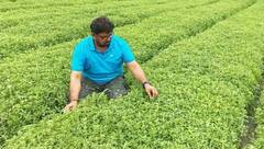 पहरेदार बने बस्तर के ये उन्नत किसान, ग्रामीण किसानों को पर्यावरण संरक्षण के लिए किया प्रेरित