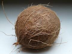 Uses Of Coconut Husk : नारळच नाही तर त्याची साल सुद्धा आहे खूप उपयुक्त, जाणून घ्या फायदे