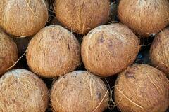Uses Of Coconut Husk : नारळच नाही तर त्याची साल सुद्धा आहे खूप उपयुक्त, जाणून घ्या फायदे