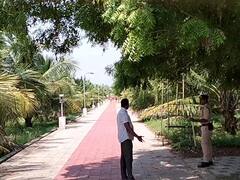 கரூர் அருகே அரசு ஒப்பந்ததாரருக்கு சொந்தமான பண்ணை வீட்டில் சோதனை