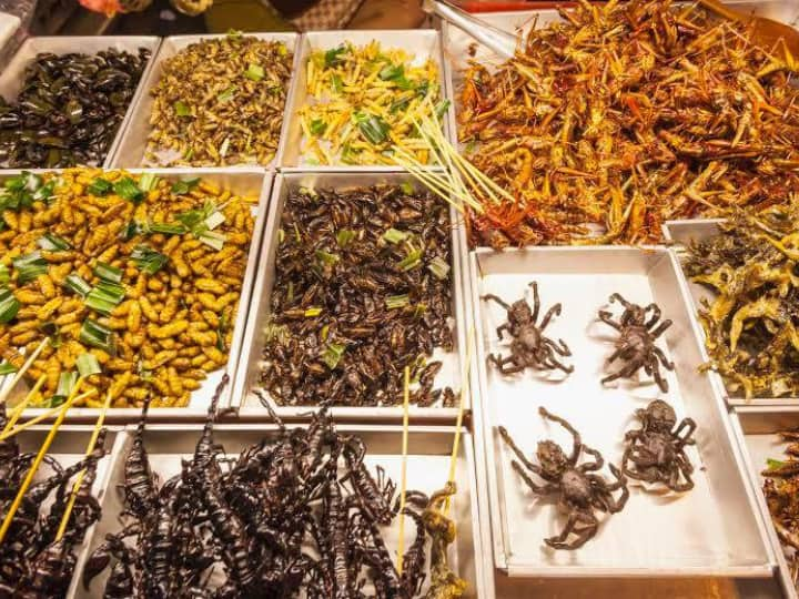 Insects Food In India : क्या आपको पता है भारत में लगभग 10 राज्यों में कीड़े-मकोड़ों को खाने के रूप में खाया जाता है? इन राज्यों में 300 से ज्यादा कीड़े मकोड़े लोगों का खाना हैं. खबर में डिटेल पढ़िए