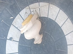 मध्य प्रदेश: महाकाल लोक में मूर्ति के बाद अब गिरा तीन किलो वजनी लट्टू, कोई हताहत नहीं