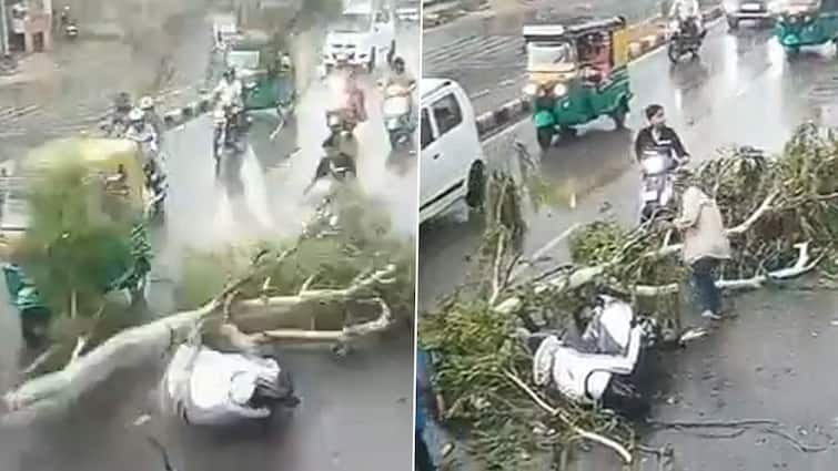 The boys were going on a scooty, when suddenly a tree branch fell. Watch this viral video સ્કૂટી પર જઈ રહ્યા હતા છોકરાઓ,  અચાનકથી ઉપર પડી ઝાડની ડાળી, જુઓ આ વાયરલ વીડિયો