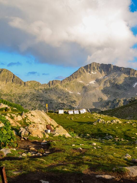 ये हैं तमिलनाडु की सबसे खूबसूरत जगहें, एक बार जरूर जाएं