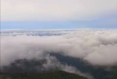 PHOTO : तळकोकणातील आंबोली घाटात ढगांची चादर