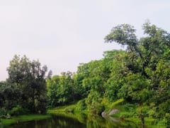 Udaipur: तस्वीरों में देखिए सीतामाता अभ्यारण्य, जहां ऋषि वाल्मीकि के आश्रम में रही थीं मां सीता