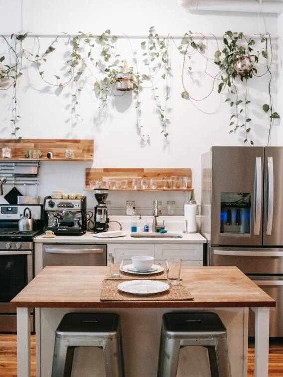 किचन के लिए ये हैं बेस्ट 8 पौधे, आप भी लगाएं