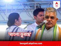  'সিনেমা তো সিবিআই ইডি দেখাচ্ছে' নন্দীগ্রামে অভিষেকের প্রতিটি চ্যালেঞ্জের কড়া জবাব দিলেন দিলীপ