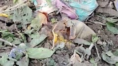 দুবরাজপুর-চাপড়ার পর ফের বিস্ফোরণ, এবার মালদার চাঁচলে