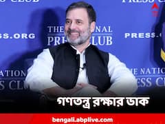 'ভারতে গণতন্ত্র ধাক্কা খেলে প্রভাব সারা বিশ্বে', আর কী হবে? বললেন রাহুল