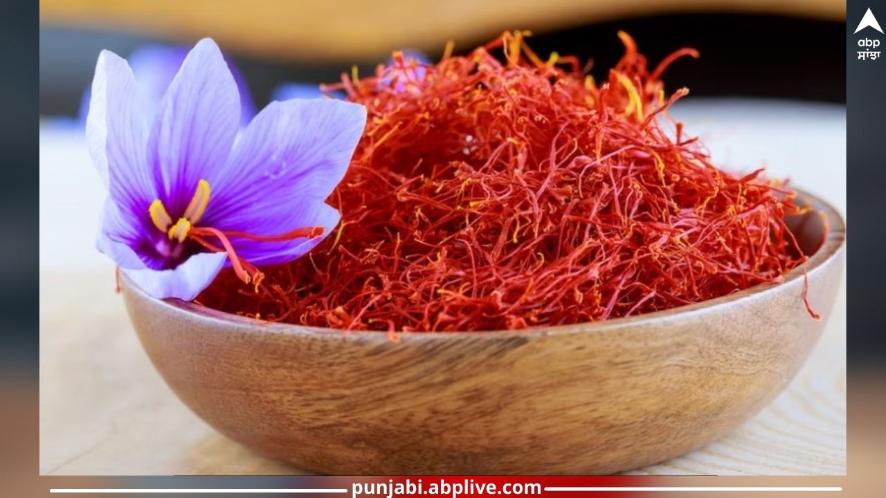 Saffron Milk Benefits: Everyone drinks milk with adding saffron know  benefits | Saffron Milk Benefits: ਇਕੱਲਾ ਦੁੱਧ ਤਾਂ ਸਾਰੇ ਹੀ ਪੀਂਦੇ ਪਰ ਬਹੁਤੇ ਲੋਕ  ਕੇਸਰ ਵਾਲੇ ਦੁੱਧ ਦੇ ਨਹੀਂ ਜਾਣਦੇ ਫਾਇਦਾ, ਕੁਝ