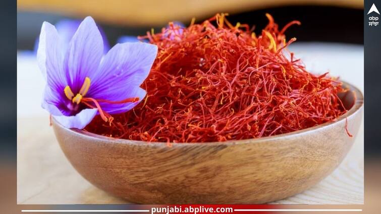 Saffron Milk Benefits: Everyone drinks milk with adding saffron know benefits Saffron Milk Benefits: ਇਕੱਲਾ ਦੁੱਧ ਤਾਂ ਸਾਰੇ ਹੀ ਪੀਂਦੇ ਪਰ ਬਹੁਤੇ ਲੋਕ ਕੇਸਰ ਵਾਲੇ ਦੁੱਧ ਦੇ ਨਹੀਂ ਜਾਣਦੇ ਫਾਇਦਾ, ਕੁਝ ਹੀ ਦਿਨ ਸੇਵਨ ਕਰਕੇ ਵੇਖੋ ਕਮਾਲ