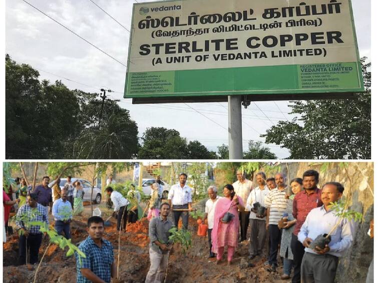 Sterlite invites volunteers to reforest village panchayats in Thoothukudi district Sterlite: தூத்துக்குடி மாவட்டத்தில் கிராம பஞ்சாயத்தில் காடுகளை வளர்க்க தன்னார்வலர்களை அழைக்கும் ஸ்டெர்லைட்