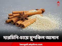 ডায়াবেটিস? খাওয়ার পরে এই চা এক কাপ খেলেই মুশকিল আসান!