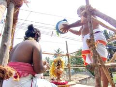 ஆன்மீகம்: மயிலாடுதுறையில் பல்வேறு கோயில்களில் திருவிழாக்கள் - பரவசத்தில் மாவட்ட பக்தர்கள்