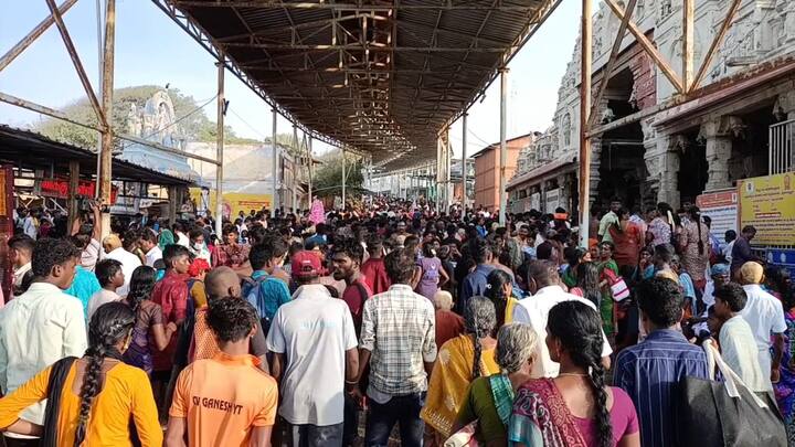 வைகாசி விசாகத்தன்று முருகப்பெருமானை தரிசித்தால் வெற்றி கிட்டும், வேலவன் அருளால் விரும்பியது நடக்கும்.