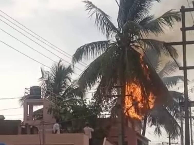 A coconut tree was caught fire by lightning in Coimbatore TNN கோவையில் கொட்டிய கோடை மழை ; மின்னல் தாக்கியதில் தீப்பற்றி எரிந்த தென்னை மரம்