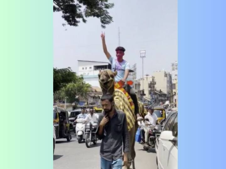 samarth jadhav from kolhapur as passes in 10th standard with 51 percent marks a camel procession by friends Kolhapur News: पास होणार नाही म्हणून वर्षभर मित्रांकडून हेटाळणी, पण भावड्या 51 टक्क्यांनी पास होताच गुलाल लावून थेट उंटावरून मिरवणूक 