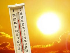 Maharashtra heat wave : नागरिकांनो काळजी घ्या! राज्यात पुढील तीन दिवस उष्णतेच्या लाटेचा इशारा