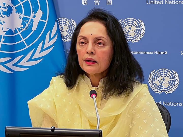 UNSC No Longer Aligns With Realities Of Multi-Polar World: India Says Time For Reform Is Now UNSC No Longer Aligns With Realities Of Multi-Polar World: India Says Time For Reform Is Now