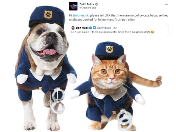 पुलिस टीम में कुत्ते तो होते हैं लेकिन बिल्लियां क्यों नहीं? मस्क के सवाल पर दिल्ली पुलिस ने दिया मजेदार जवाब