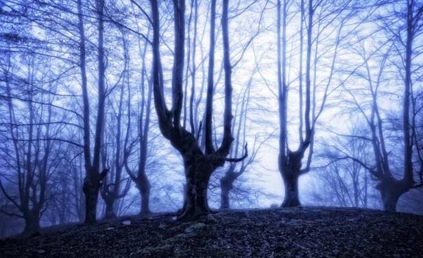 4 strange mysteries of the world that no one could solve ਦੁਨੀਆ ਦੇ 4 ਅਜੀਬ ਰਹੱਸ ਜਿਨ੍ਹਾਂ ਨੂੰ ਕੋਈ ਵੀ ਹੱਲ ਨਹੀਂ ਕਰ ਸਕਿਆ