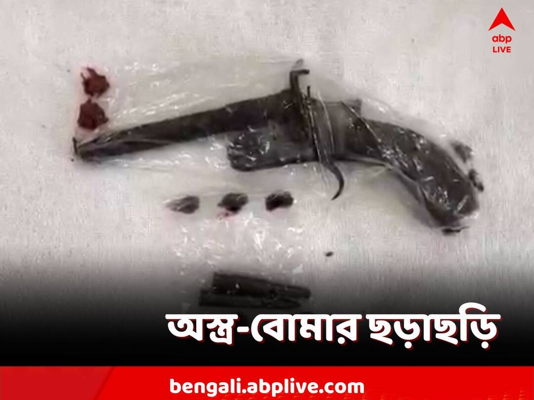Murhsidabad, Arms and bullets recovered from Domkal, bombs recovered from various districts Murshidabad: ডোমকল থেকে উদ্ধার অস্ত্র, নানা জেলায় খোঁজ মিলল বোমার