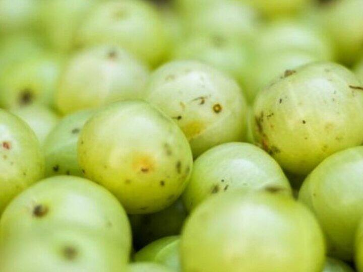 आंवला जूस को बना लीजिए डाइट का हिस्सा..मिलेंगे ये बेमिसाल फायदे