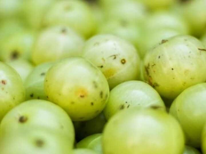 Amla Benefits: आंवला औषधीय गुणों से भरपूर एक बेहतरीन फल है, जिसका सेवन करने से आप कई गंभीर रोगों के जोखिम को कम कर सकते हैं...