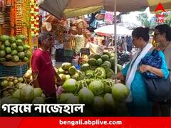 বাড়বে গরম-অস্বস্তি, বিপর্যস্ত জনজীবন, জৈষ্ঠ্যের দহনজ্বালায় পুড়ছে বাংলা