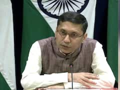 Baby Ariha Case: Constantly Requesting German Authorities To Return Child To India, Says MEA