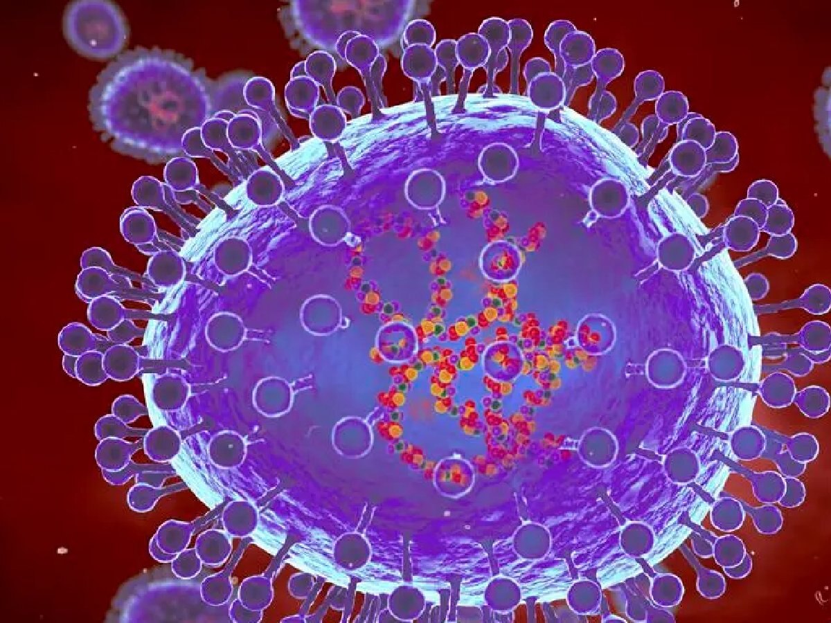 Prevalensi HMPV di Amerika Serikat;  Semua tentang ‘virus terpenting’ yang belum pernah Anda dengar |  10 poin