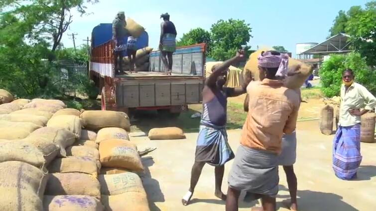 Opening of 65 direct paddy procurement centers for procurement of summer paddy crops in Tiruvarur district TNN Paddy: திருவாரூர் மாவட்டத்தில் 65 நேரடி நெல் கொள்முதல் நிலையங்கள் திறப்பு