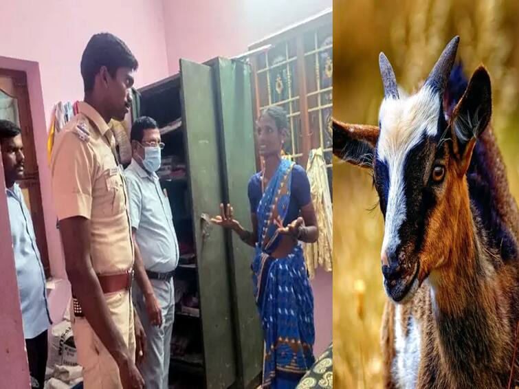 Jewellery and cash worth Rs 8½ lakh stolen by pretending to buy a goat from vikravandi Crime : விக்கிரவாண்டியில் ஆடு வாங்குவது போல் நடித்து  ரூ.8½ லட்சம் மதிப்புள்ள நகை, பணம் கொள்ளை.. நடந்தது என்ன?