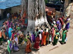 Vat savitri 2023 : पतीच्या दीर्घायुष्यासाठी करतात वटसावित्रीची पूजा, वाचा वडाच्या झाडाचं महत्त्व