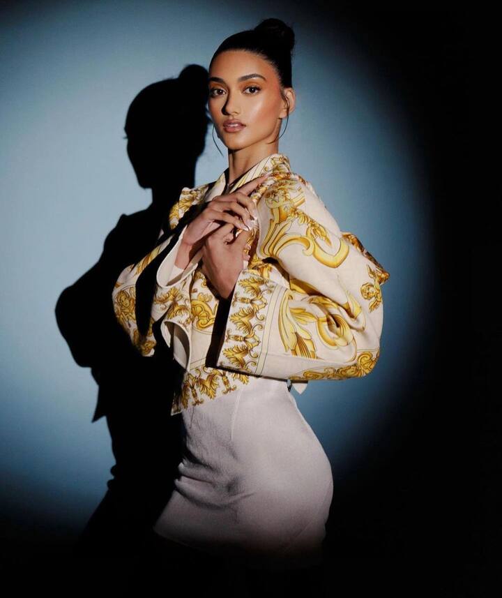 This dinner meeting happened just a few after Leonarado DiCaprio and Neelam Gill were spotted at the prestigious Cannes Film Festival in France.