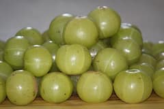 Amla Benefits : बहुगुणी आवळा! जाणून घ्या फायदे..