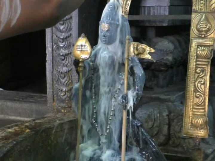 Vaikasi Visakam: கரூர் ஸ்ரீ சித்தி விநாயகர் ஆலய வைகாசி விசாகம்-ராஜ அலங்காரத்தில் பக்தர்களுக்கு காட்சியளித்த பாலமுருகன்