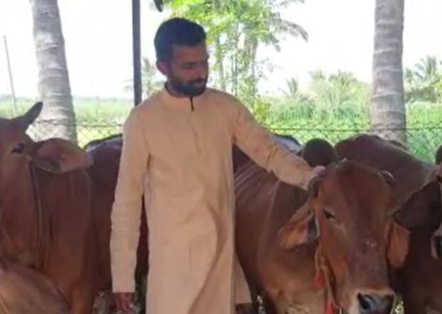 Farmer Success story sachin tamhane farmer from osu in faltan taluka started Ghee business Farmer Success Story : नोकरी सोडून शेती केली, घरच्यांचा विरोध पत्करला, दूध नाही तर तुपाचा व्यावसाय सुरु केला; महिन्याला कमावतो लाखो रुपये