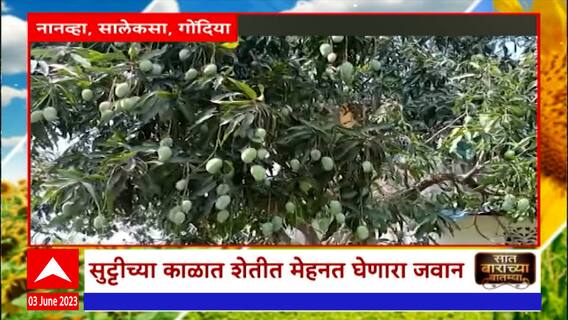 Saat Barachya Batmya : Swaraj Tractor चं नवं मॉडेल ते गोगलगाय नियंत्रण : सात बाराच्या बातम्या