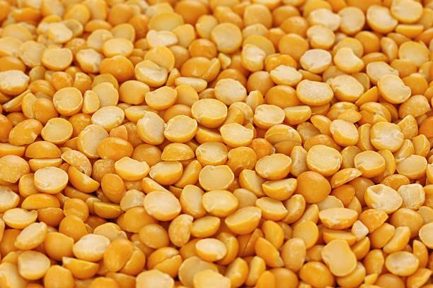 yavatmal good news for farmers toor dal Pigeon pea rates increased in apmc market Toor Dal Price: तूरडाळीचे भाव पुन्हा गगनाला! शेतकऱ्यांना अच्छे दिन; मात्र सर्वसामान्यांच्या खिशाला कात्री