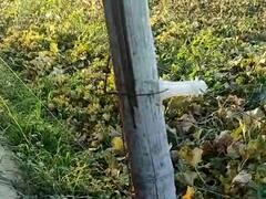 बाराबंकी में किसान की लापरवाही ने ली शख्स की जान, खेत में लगी मशीन की चपेट में आने से हुई मौत