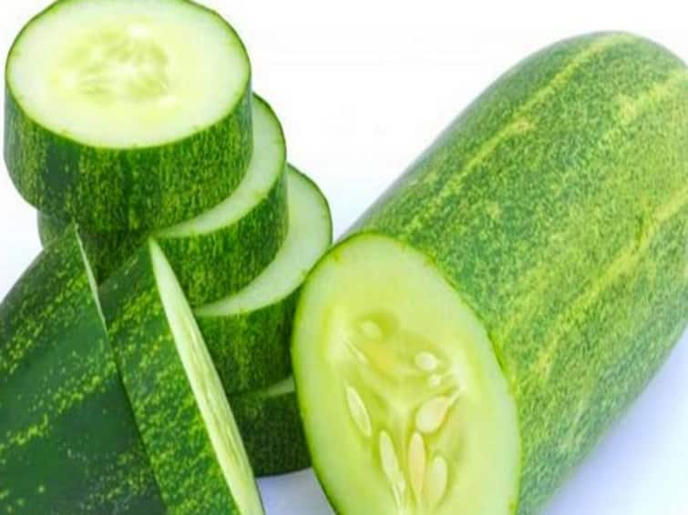 Cucumber Benefits uses Cucumber to improve body health Cucumber Benefits :சரும பளபளப்பு.. உடல் ஆரோக்கியம்.. வெள்ளரிக்காயின் பயன்கள் என்ன?
