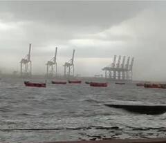 Gujarat Rain Photo: તસવીરોમાં જુઓ ગુજરાતમાં પડેલા વરસાદના દ્રશ્યો, અનેક વૃક્ષો ધરાશાયી, શેરીઓમાં ભરાયા પાણી