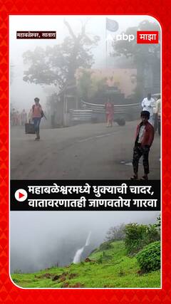 Mahabaleshwar: महाबळेश्वरमध्ये धुक्याची चादर; वातावरणात गारवा